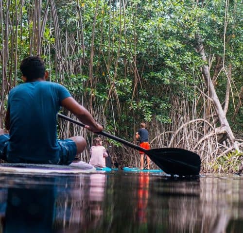 Best beach hostel El Paredon Guatemala SUP travel backpacking mangrove tour top surf destination