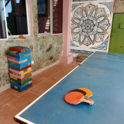 travelers playing pool at the bar in a hostel in el paredon